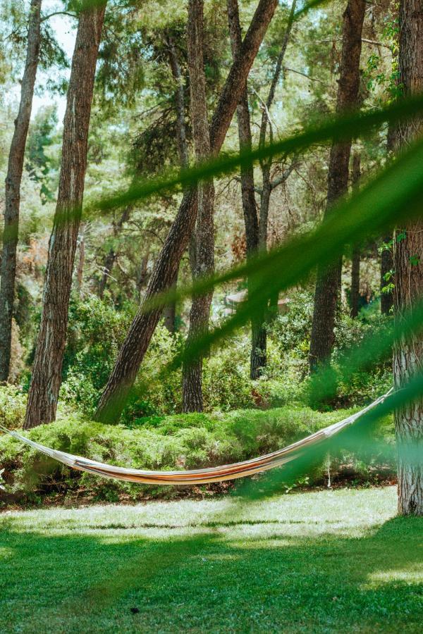 Beautiful Summerhouse In Sani'S Pine Forest Sani  Buitenkant foto